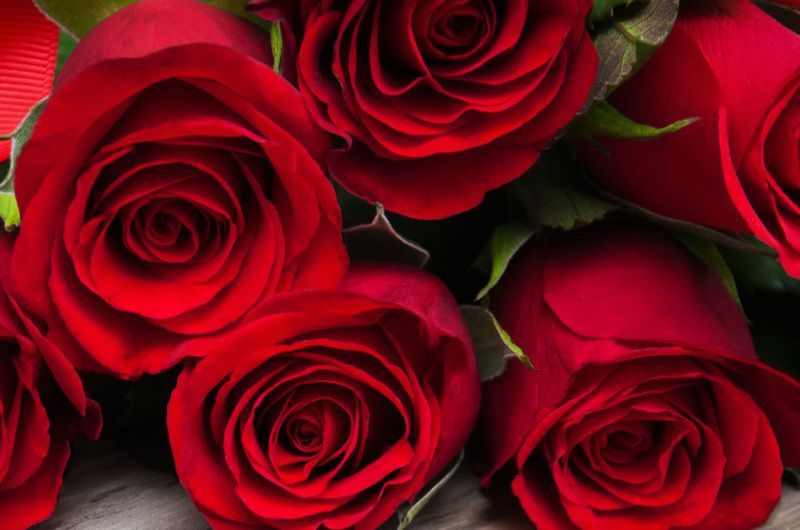 Read more about the article Dzień Kobiet