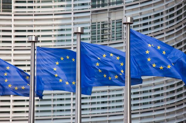 Read more about the article Ankieta dot. określenia poziomu wdrożenia Dyrektywy Fałszywkowej