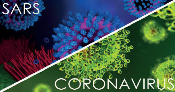 Read more about the article Pomagamy naszym członkom w walce z SARS CoV-19! Specjalna oferta dla wszystkich członków ZZPF!