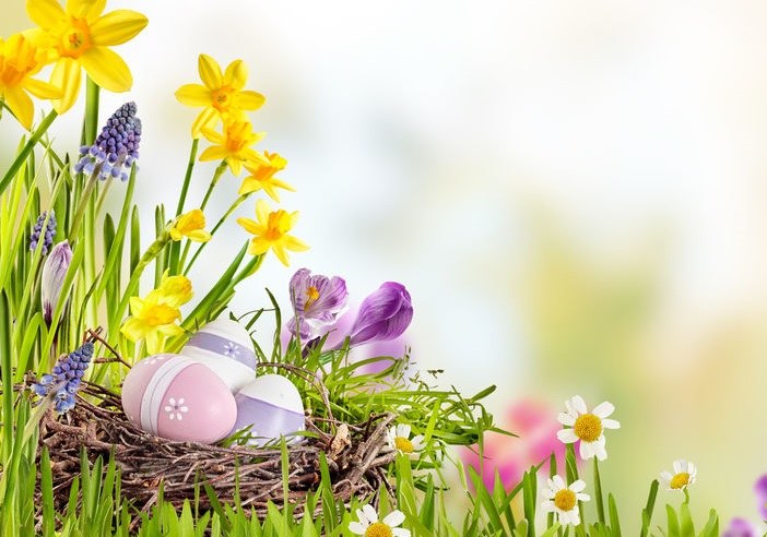 Read more about the article Życzenia Wielkanocne