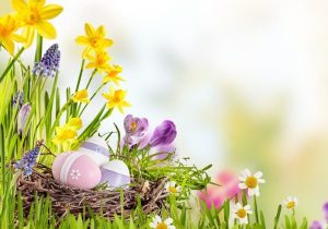 Read more about the article Życzenia Wielkanocne 2024